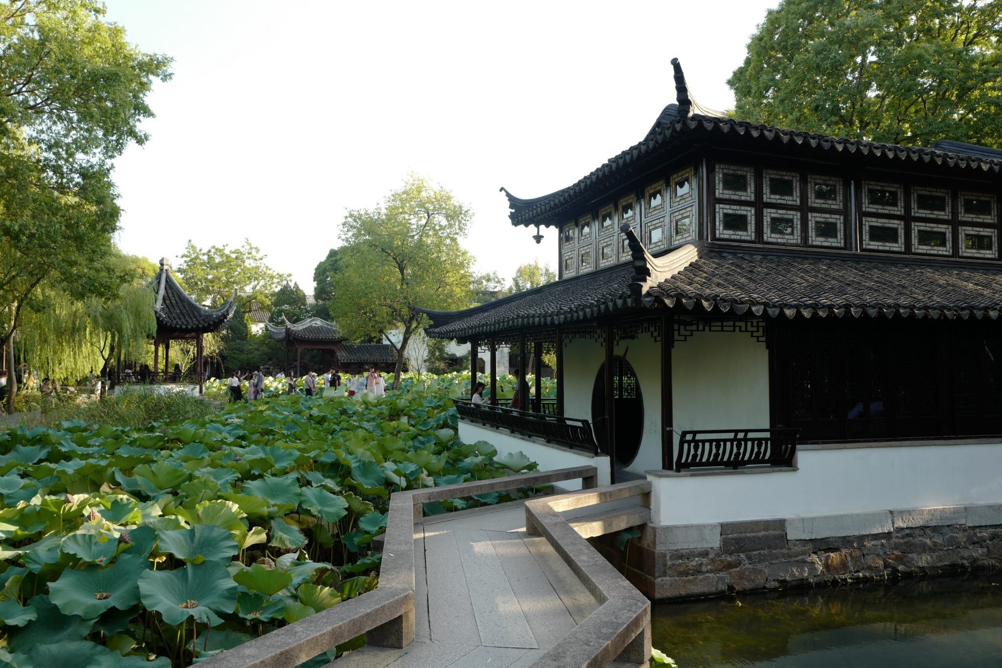 Peaceful Chinese garden setting