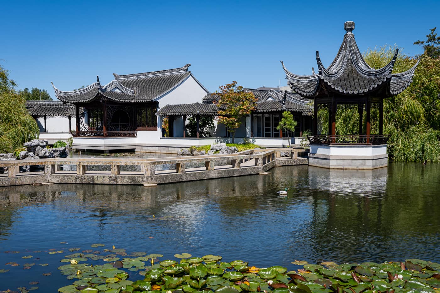 Serene Chinese wellness garden