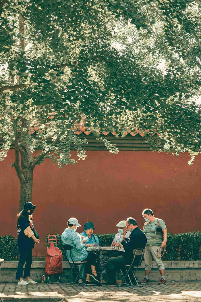 Seniors socializing and connecting over conversation